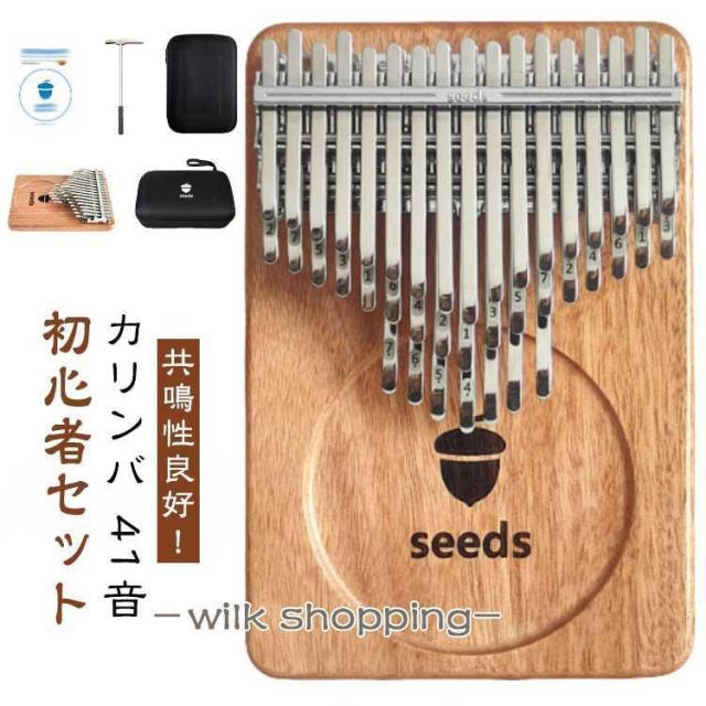 41音 カリンバ 未経験者仕かける おや指洋琴 総締め洋琴 譜面 ハウツー物 取扱説明書書 入れもの 指サック かい繕う済み チューニングハンマー ラジオ受信機 インストゥルメント