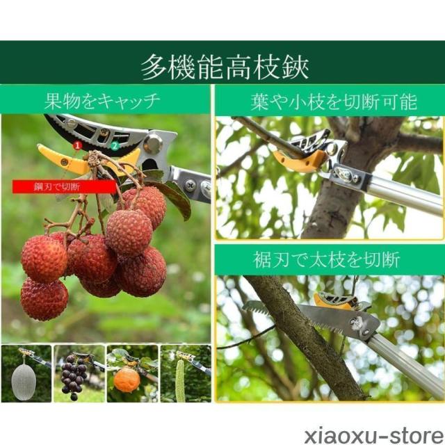 高枝切りバサミ 3WAY 高枝のこぎり 伸縮式 高枝切鋏 枝切り用 果物摘み 伸縮式高枝ノコギリ 高所作業 枝切り鋸付き_3