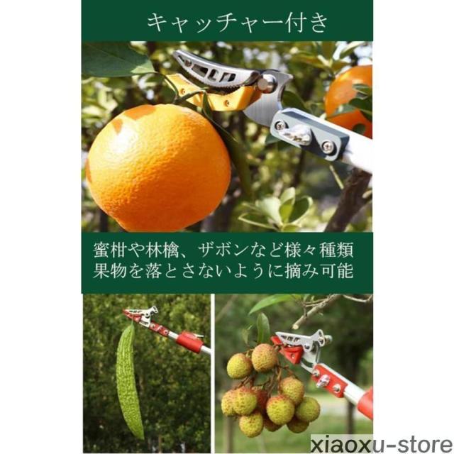 高枝切りバサミ 3WAY 高枝のこぎり 伸縮式 高枝切鋏 枝切り用 果物摘み 伸縮式高枝ノコギリ 高所作業 枝切り鋸付き_6