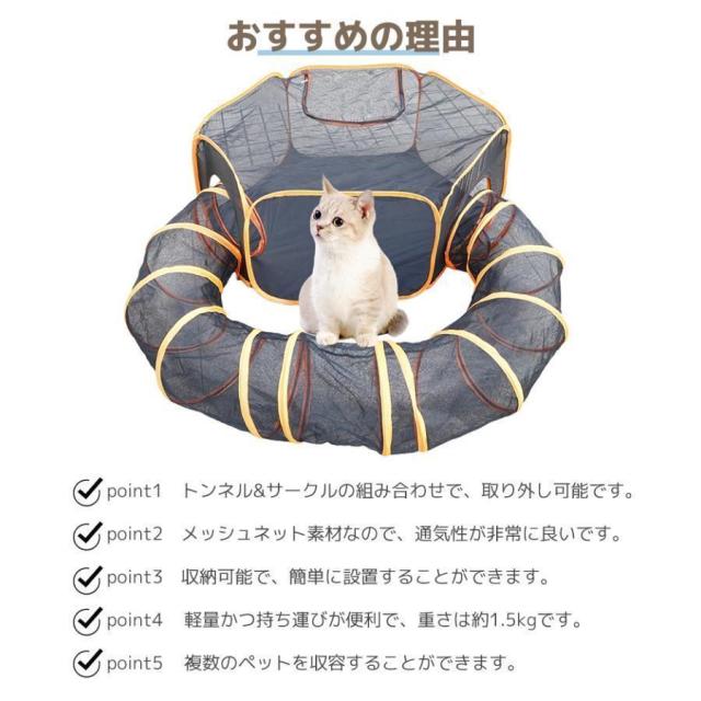 木彫 絶滅哺乳類 バルボロフェリス 頭骨模型 8cm 木彫 絶滅哺乳類 バル