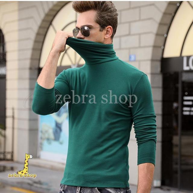 ヒートテック メンズ Tシャツ 無地 タートルネック 長袖 トップス カジュアル インナー 着心地いい かっこいい 男性用 きれいめ おしゃれ