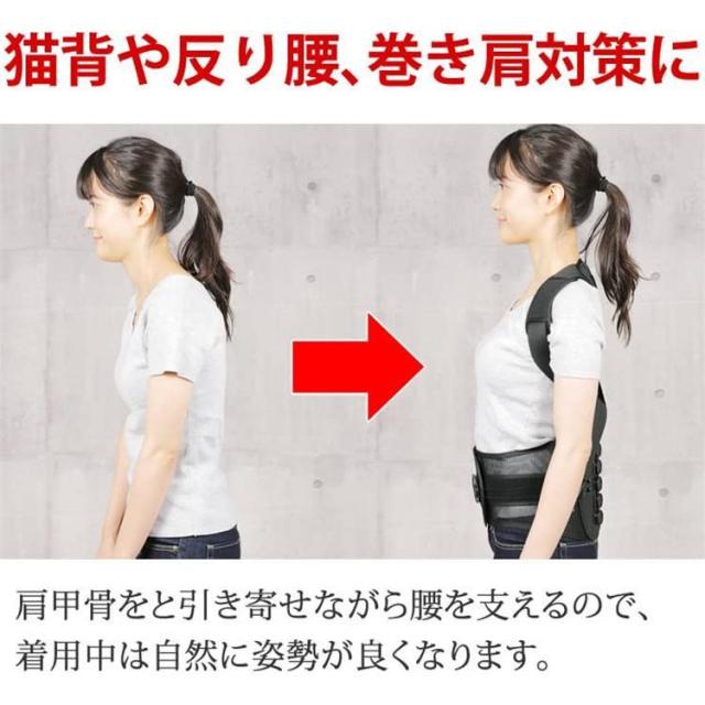 腰痛ベルト 骨盤ベルト 猫背矯正ベルト 背中と腰をＷサポート！9個の滑車で超強力！ 腰痛 産後 骨盤矯正 姿勢矯正 コルセット 骨盤サポーター 男女兼用