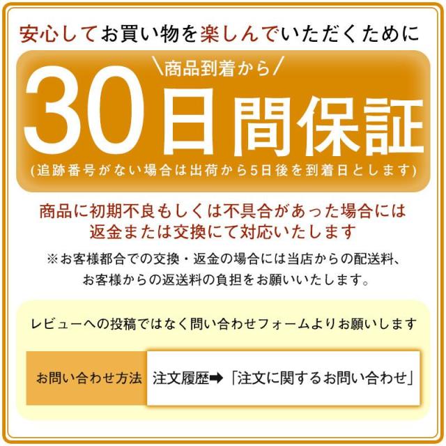ランニング ライト アームバンド 充電式 USB LED 光る 夜間 腕 反射材 ウォーキング ジョギング 送料無料 アクセサリー・その他