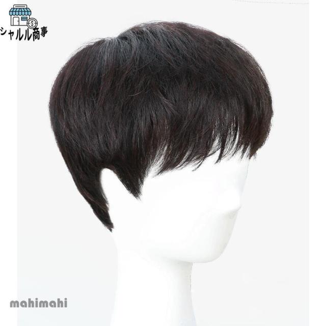 メンズウィッグ 男性用かつら 100%人毛ウィッグ 耐熱 ウィッグ 男性用人毛ウィッグ 男性用人毛 かつら 大 専用ネット付き_6