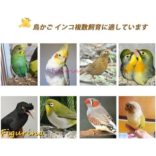 鳥かご 鳥籠 鳥 ケージ バードゲージ 鳥小屋 大型 インコ ケージ 73x37x115cm キャスター付き鳥かご DIY デザイン_6