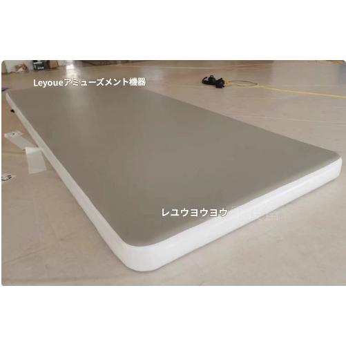 エアートラック 体操 エアトマット タンブリングマット 2/2/4/5M長さ 1m/2m幅広 20cm厚い 体操トレーニングマット インフレータブル エクササイズマット 厚手_7