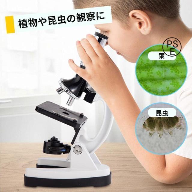 顕微鏡 子供用 キッズ 1200倍 LED ライト ルーペ 拡大鏡 虫眼鏡 LEDライト 小学生 中学生 生物 倍率切り替え可 進学 入学祝い 学生_5