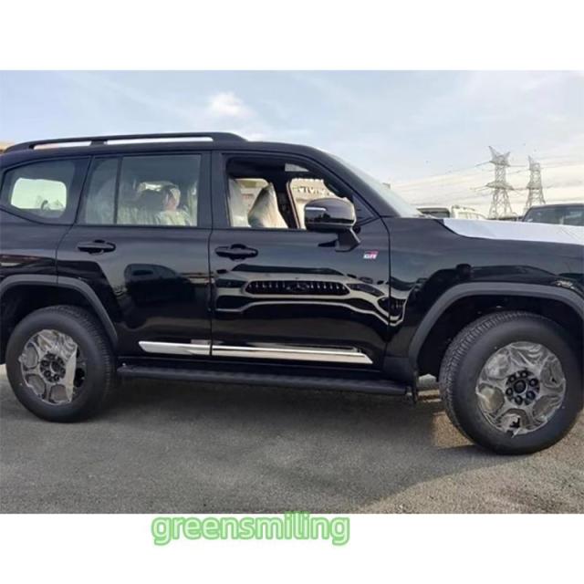 新型 ランドクルーザー ランクル300 ドアロアガーニッシュ サイドガーニッシュ LAND CRUISER LC300 専用 アクセサリー カスタム パーツ サイドドアトリム