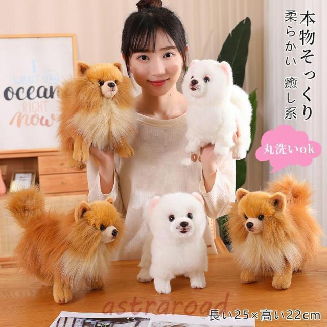 ぬいぐるみ ポメラニアン 犬 リアル 本物そっくり 生々しい いぬ 抱き枕 イヌの置物 動物 ふわふわ 柔らかい 癒し系 部屋 インテリア 誕生日 贈り物