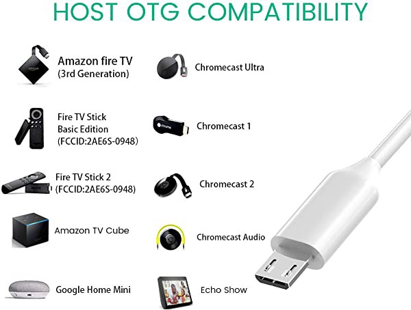 イーサネットアダプタ 有線 LAN アダプタ Micro USB OTG ハブ Fire TV