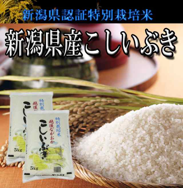 新潟県産こしいぶき5k 令和4年産 特別栽培米 高田屋お買い得企画 送料込(一部のぞく)の通販はau PAY マーケット - 越後の米穀商 高田屋