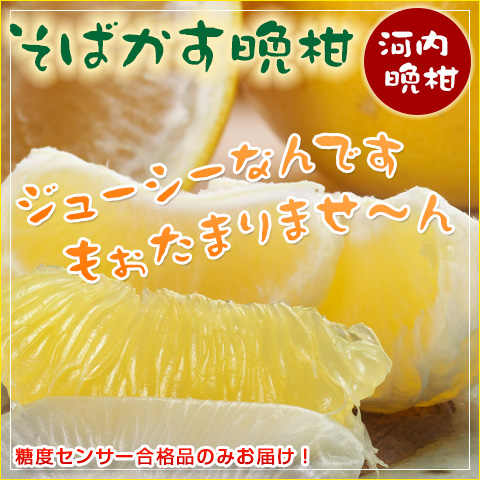送料無料 河内晩柑 3kg 和製グレープフルーツ 期間限定 6月下旬 贈り物 グルメ 食品 ギフト おすすめの通販はau Pay マーケット わが街とくさんネット