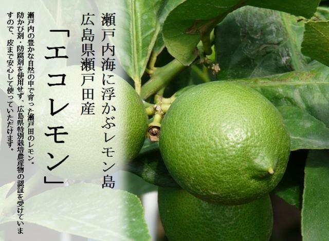 Ⅰ国産瀬戸田レモン10Kg 送料無料】産地直送 瀬戸田町産レモン「せとだエコレモン