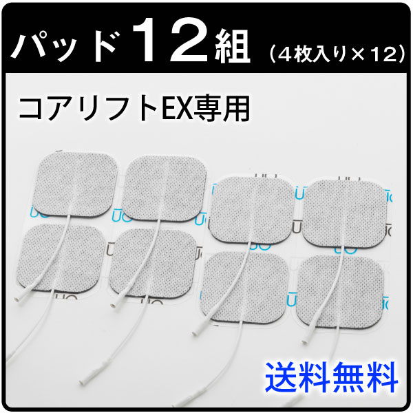 銘「藤袴」 伽羅 聞香 香木 沈香 香道 奇南 伽南 沉香