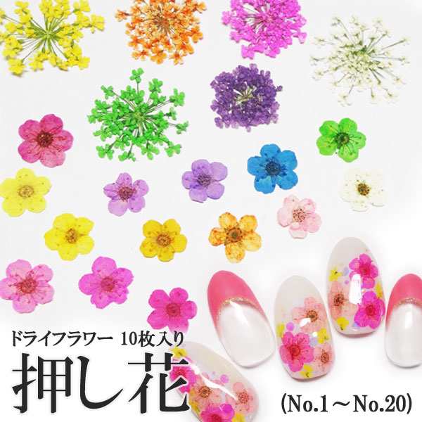 1 ケース入り 押し花 ドライフラワー 10枚入り ネイル レジン レースフラワーの通販はau Pay マーケット Kokonail 1 ケース入り 押し花 ドライフラワー 10枚入り ネイル レジン レースフラワーの通販はau Pay マーケット Kokonail