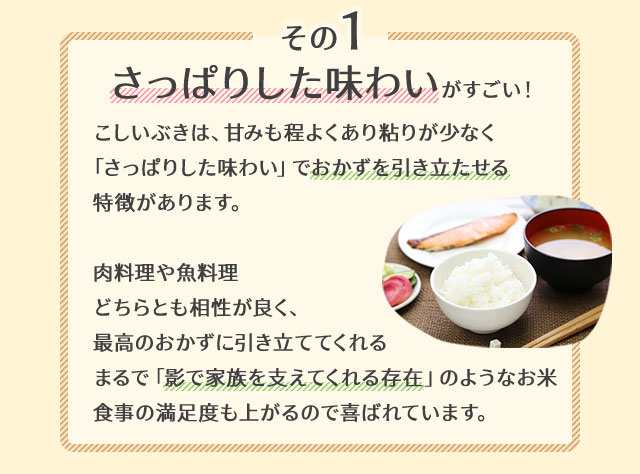 令和6年産】新潟県産 こしいぶき 10kg (5キロ×2袋) 【送料無料 令和6年産】新潟県産 こしいぶき 10kg (5キロ×2袋) 【送料無料