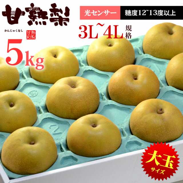 甘熟幸水梨3l 5l 5kg 産地はお任せ 糖度12度以上の大玉幸水梨だけをお届け 食品 フルーツ 果物 和梨 幸水 送料無料の通販はau Pay マーケット まいど おおきに屋クラクラ