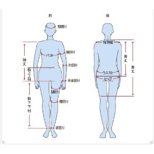 27.5cm ミズノ　エックスブラストネオ2 マクロスシリーズ(Macross Series) 早瀬未沙[はやせ みさ 風