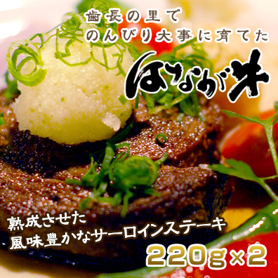 送料無料 はなが牛サーロインステーキ2枚（約200g×2枚）愛媛県 牛肉/贈り物/ のしOK 【着日指定不可】 ギフトの通販は 6,048円