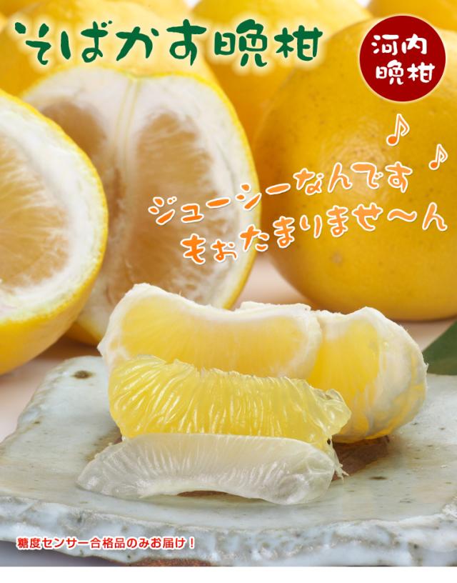 送料無料 河内晩柑 3kg 和製グレープフルーツ 期間限定 6月下旬 贈り物 グルメ 食品 ギフト おすすめの通販はau Pay マーケット わが街とくさんネット