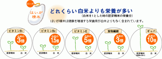 5年産 お米 ひのひかり胚芽米 5kg 岡山県産 (5kg×1袋) お米 米 送料無料 5キロ 令和5年産  北海道・沖縄宛は送料770円の加算が必要ですの通販はau PAY マーケット - 株式会社岡萬 | au PAY マーケット－通販サイト