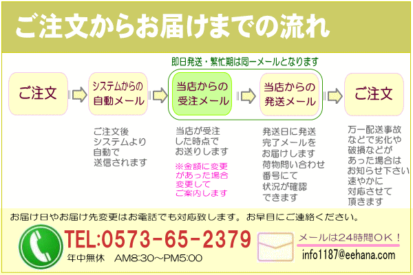 2月誕生花★ナチュラルアレンジ【チューリップ】12,000円【送料無料】_4