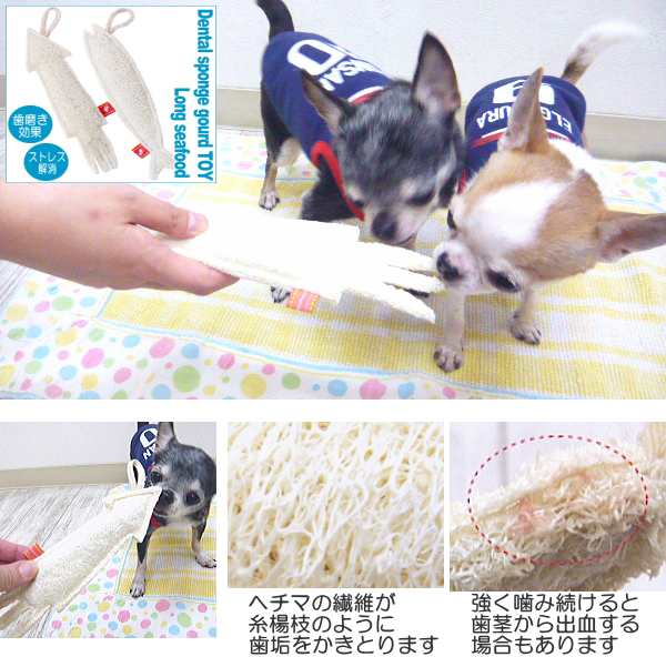 デンタルヘチマトイ ロングシーフード チワワ 小型犬 歯磨きおもちゃ の通販はau Pay マーケット チワワ専門店skipdog