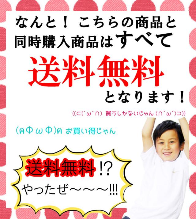 送料無料 ゴスロリ ワンピース ヴァンパイア プリンス アシンメトリー