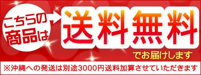 北海道産 きらら397 5kg 北海道米 きらら397 おためし 送料無料 沖縄は送料別途加算の通販はau Pay マーケット ミツハシグルメ北海道