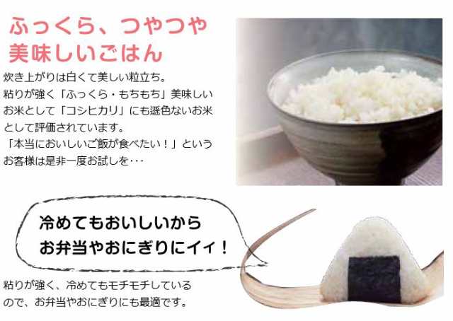 新米 10kg きぬむすめ 岡山県産（5kg×2袋) 令和4年産 お米 送料無料 10キロ 北海道・沖縄宛は送料770円の加算が必要です 特Ａ  産地直送 の通販はau PAY マーケット - 株式会社岡萬