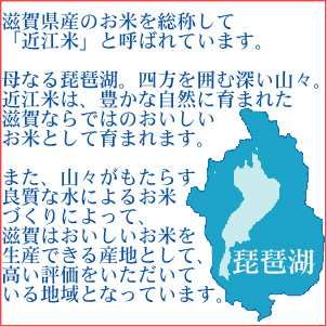 無洗米 滋賀県産 みずかがみ 10kg 5kg 2袋 令和元年産 特ａ獲得米 送料無料 北海道沖縄へは別途送料760円 の通販はau Pay マーケット 美味しいお米はハーベストシーズン