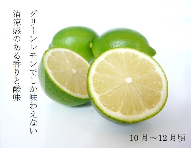 送料無料】産地直送 瀬戸田産レモン「せとだエコレモン」5kg約