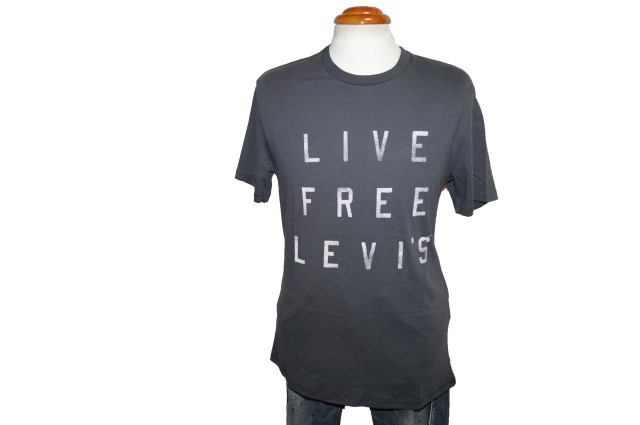 リーバイス Levis 半袖Tシャツ 22491-0055 メンズ グレー 夏物 黒