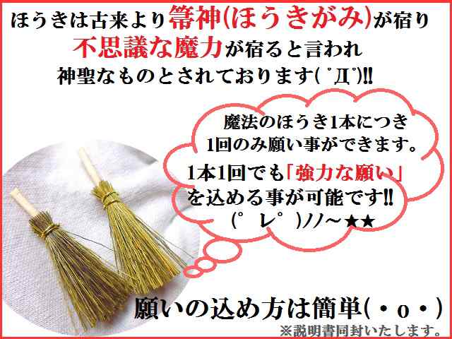 宝くじなど当てたいあなたへ 当選祈願 ルチルクォーツ 水晶 魔法ホウキ ほうき ワイルーロの実 パワーストーン 護符の通販はau Pay マーケット Kiara Rose Stone