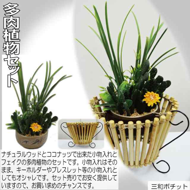 ココナッツトレイ 多肉植物セット アジアン雑貨 バリ雑貨 かわいい ギフト プレゼント ハンドメイド ナチュラル 送料無料 の通販はau Pay マーケット 三和ポチット