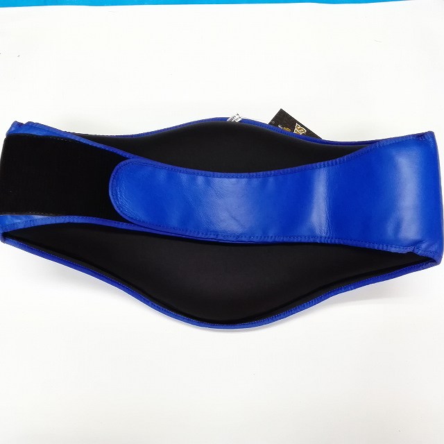 新品 正規 TWINS ボディープロテクター 青 /ボクシング/ムエタイ