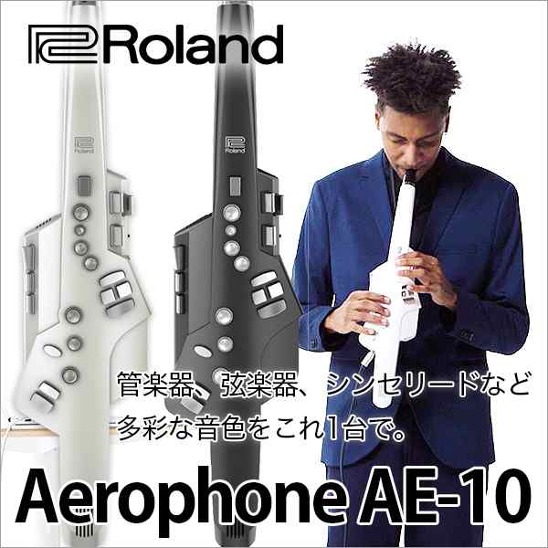 Roland/Aerophone AE-10 エアロフォン ウィンドシンセ【ローランド】の 