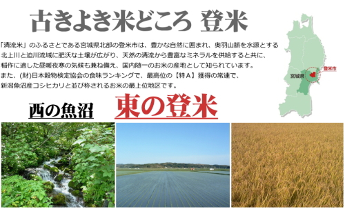 新生活応援セール 令和7年産 白米 30kg (5kg×6袋) 送料無料 宮城県 登米産 特別栽培米 ササニシキ 白米 10kg 減農薬・減化学肥料 ポリ袋仕様_1