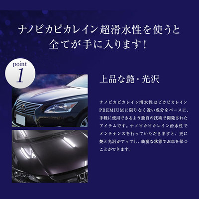 ナノピカピカレイン 滑水性 ガラスコーティング メンテナンス剤 ピカピカレイン 洗車 ガラスコーティング剤 Top Kmainte 250 の通販はau Pay マーケット ピカピカレイン
