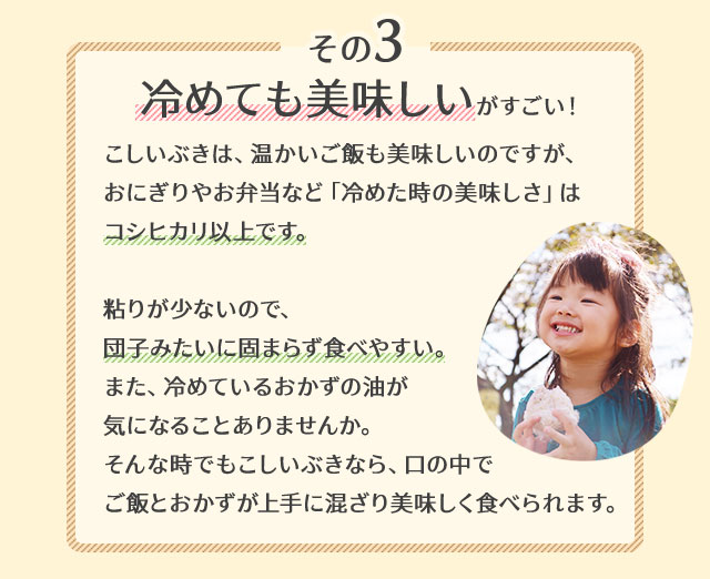 令和6年産】新潟県産 こしいぶき 10kg (5キロ×2袋) 【送料無料 令和6年産】新潟県産 こしいぶき 10kg (5キロ×2袋) 【送料無料