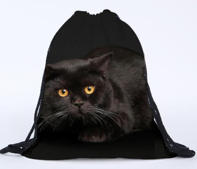 送料無料 猫 猫柄 黒猫 巾着袋 巾着 リュック 小物入れ 布 かわいい ユニーク デザイン イラスト ねこ ネコの通販はau Pay マーケット セレクトショップ はしもと
