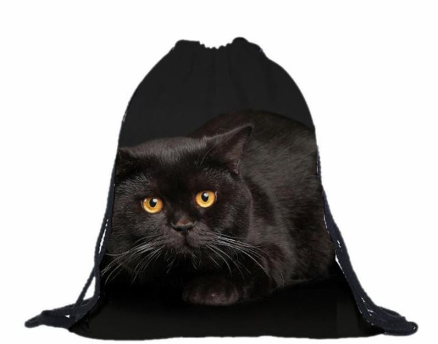 送料無料 猫 猫柄 黒猫 巾着袋 巾着 リュック 小物入れ 布 かわいい