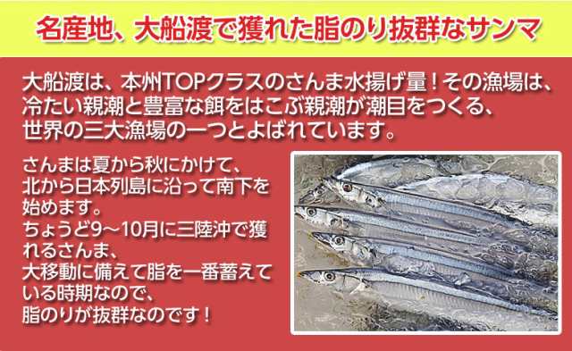 さんま サンマ 天日干し 骨抜き ひとくちサンマ 1袋500g 冷凍 の通販はau Pay マーケット 豊洲からの直送便