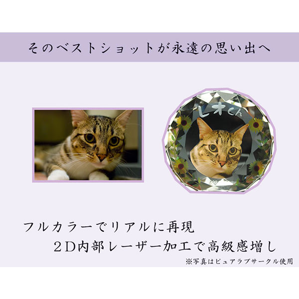 かわいいクリスタルペット位牌【ピュアラブ サークル　サイズA】【UV＋２Dレーザー】犬の位牌　猫の位牌　ペット供養 送料無料