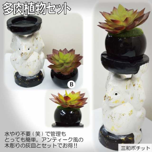 木製アニマル灰皿 多肉植物セット アジアン雑貨 バリ雑貨 かわいい ギフト プレゼント オブジェ ハンドメイド インテリア お買得｜au PAY  マーケット