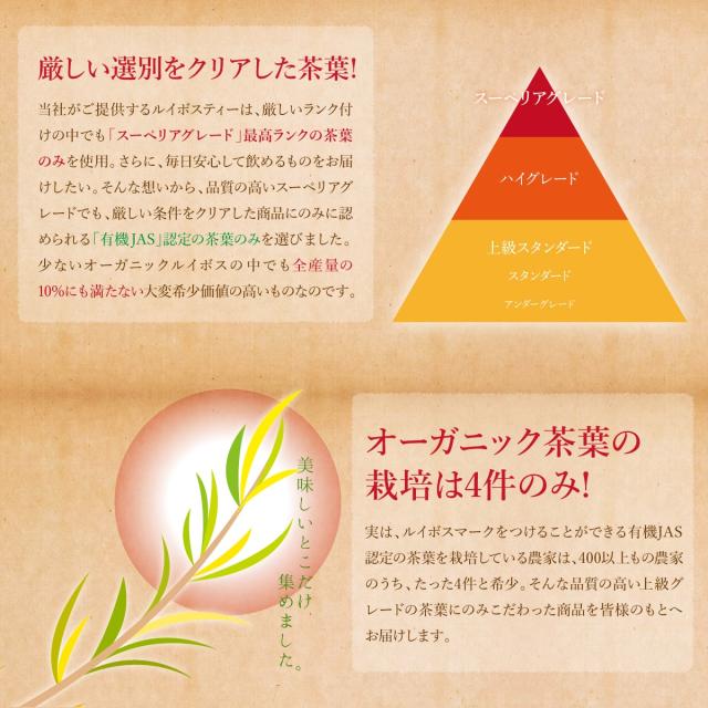 ルイボスティー オーガニック 2000g(2g×1000包) ティーパック バッグ 水出し 送料無料 オーガニックルイボスティー 妊婦さんにおすすめ_5