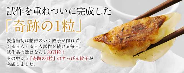 すっぴん餃子100個入り ランキング1位 冷凍 ぎょうざ 送料無料 お取り寄せ グルメ 大阪 の通販はau PAY マーケット - 博多もつ鍋と餃子  マイニチトッカ