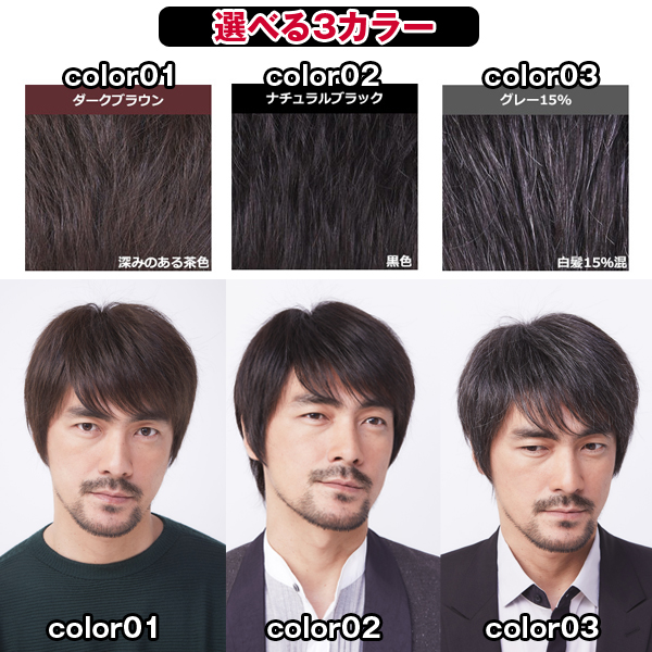 メンズウィッグ「オム・リーブル」ベーシックスタイル02 ナチュラル