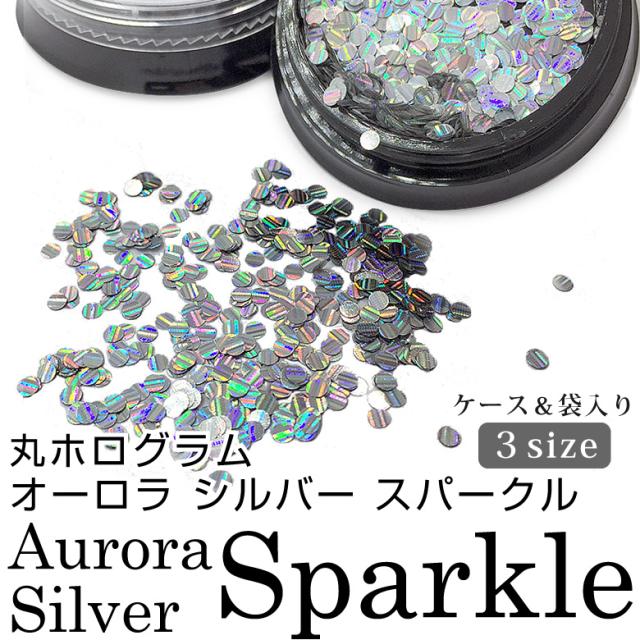 丸ホログラム オーロラ シルバー スパークル ネイル レジン クラフトの通販はau Pay マーケット Kokonail