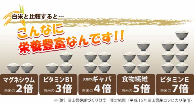 ゆきひかり 令和6年産 新米 6年産 送料無料 旭川発北海道産ゆき